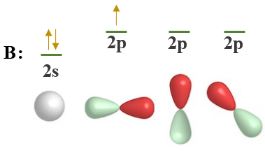 تهجين ذرة البورون تهجين ذرة البورون